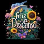 buenas noches🌃