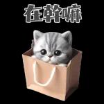 灰色虎斑小奶貓大字大貼圖