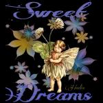 Love and Slaams