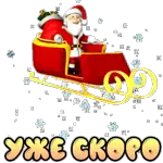 новый год