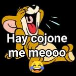 Multa por dormir demasiado