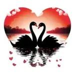 Mein Herz gehört dir