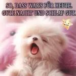 Gute Nacht Schlaf gut