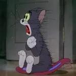 I'm Tom, no Jerry