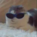 골드브라운 토피넛 라떼