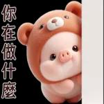 小猪熊好可爱啊