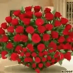 واتس ناصر الجعيدي