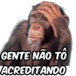 chora não depois piora