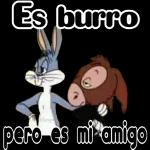 SMAE