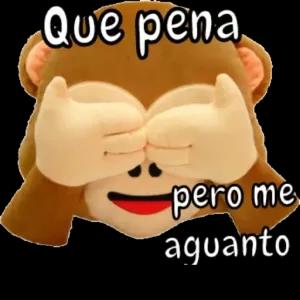 Que pena pero me aguanto - getsticker.com