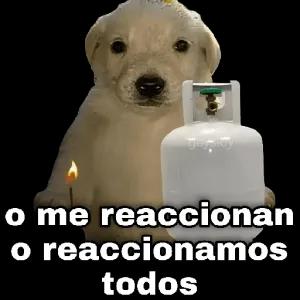 kQXLcN