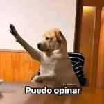 Puedo opinar