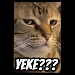 Delete
pasaipa..
Ingat kami
xdan baca ka..
34