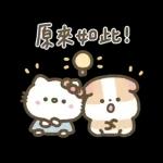 Hello Kitty 50週年 x 天竺鼠布丁 溫暖日常