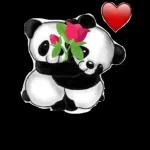 un fuerte abrazo para ti