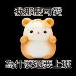 我太可愛了 - 但不讲道理