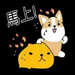 柴語錄 X 水豚君-