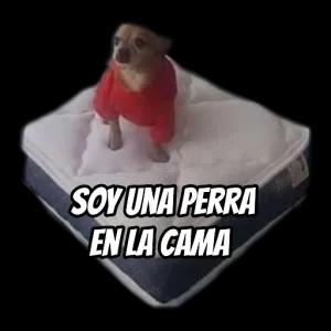 ebribpp
