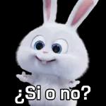 ay, cállate