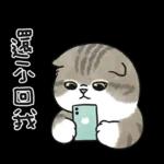 愛撒嬌的奶油小生 (虎斑貓)