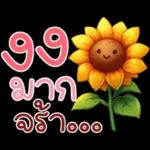 คำฮิต ภาษาดอกไม้ คนเหงา