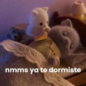 n0ucyh
