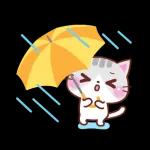 會動的♪ 喵喵團【夏季篇】