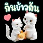 แมวน่ารักเล็กๆ~