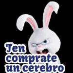 La vida secreta de las mascotas
