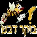 בוקר