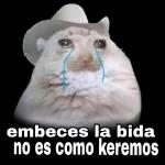 0bee395f331ea9fa16b995da025a82cf