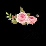 قال انيمنا ومنكم صالح الأعمالكل عام وانتم بخيرسار