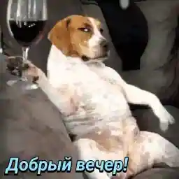 уютного вечера