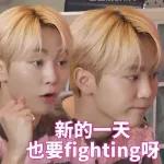 seventeen表情管理2 :: @fStikBot