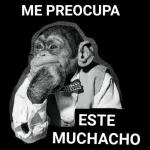 paquete 2