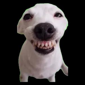PDLDKF
