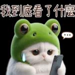 青蛙喵喵♡實用日常