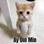 ¡Ay, Dio' mío!