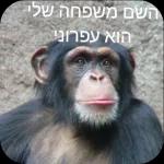 שישי
