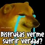 Disfrutas verme sufrir