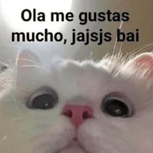 CoUSa7