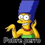 Pobre perro