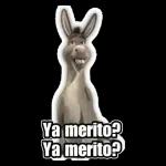 TEAMO