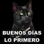 Toma, mejor sigue soñando