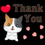 可愛花貓-全年實用問候語貼