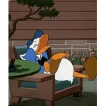 Listo para la diversión total🐒