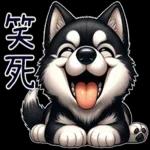 好二哈-日常白目篇