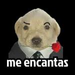 Meme de gato y perro