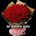 te adoro mio