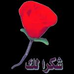 اعشقك بجنون